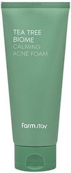 Farmstay Tea Tree Biome Calming Acne Пяна 180ml