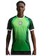 Nigeria 2026 Stadion Heim Männer Fußball Trikot