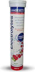 Lamberts Electrolytes Lamberts Electrolytes