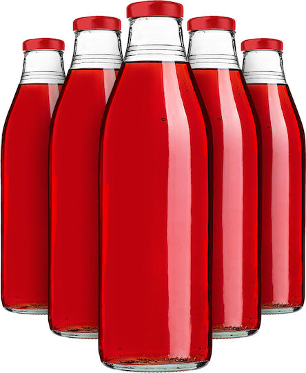 Kadax Glas Wasserflasche mit Schraubdeckel Transparent 1000ml 5 Stücke