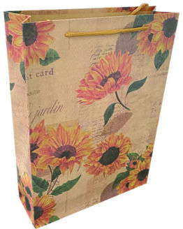 AGC Papier Geschenkverpackung 33x8x24cm