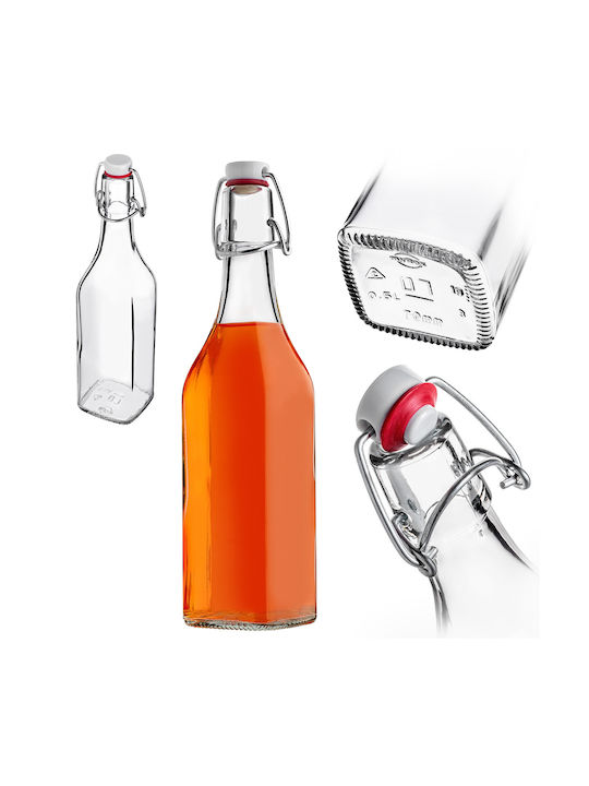Kadax Glas Wasserflasche mit Clip Transparent 500ml 5 Stücke