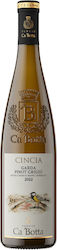 Cincia Pinot Grigio Tenute Ca 'botta 750ml