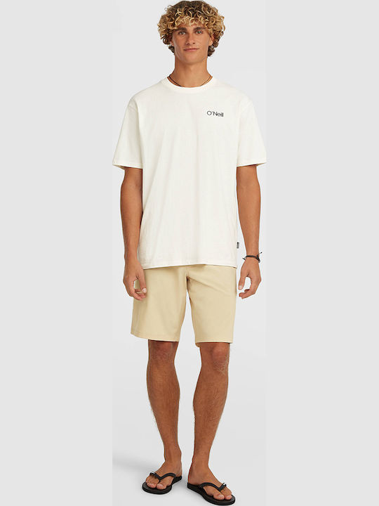 O'Neill Sport Herren Shorts Beiges