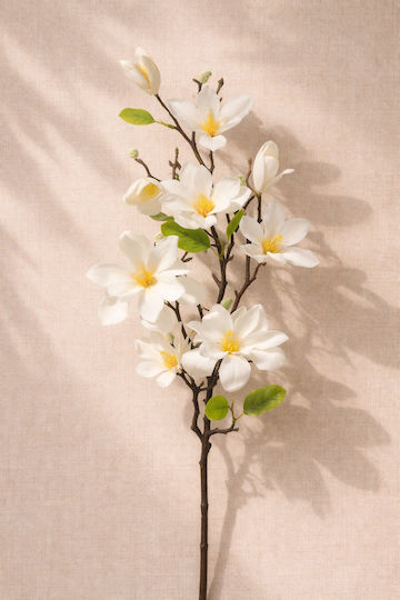 Magnolia Branch White Flowers 0x0x82cm Monochrome Evergreens