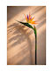 Floare Strelitzia 0x0x85cm Monocromă Evergreens