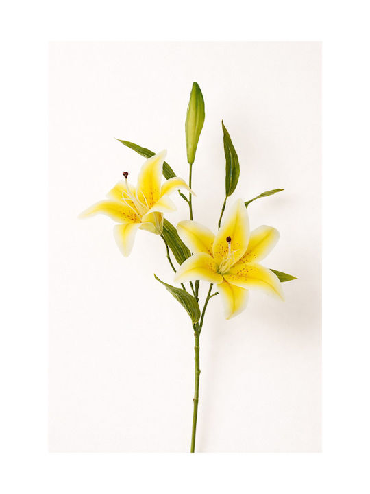 Tiger Lily Flower Yellow Petals 0x0x73cm Monochrome Evergreens