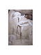 Poster cu Lungime 70cm