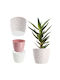 Kadax Plastic Pink Flower Pot 11x11cm