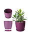 Kadax Γλάστρα Πλαστική Purple Matte με Πιάτο 18x16x14.5εκ.