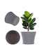 Kadax Γλάστρα Πλαστική Gray 11εκ.