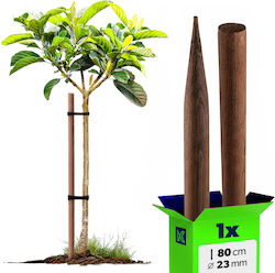 Impregnated Wooden Stake 80cm Tree Plant Support Rod 23mm Diameter