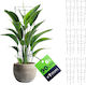 Ring Support Plants Flowers 90cm Metal Stakes 6pcs