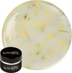 Uv Gel Nail Construction Revoflex Silk Petal Lu...