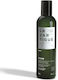 Lazartigue Schampoo Gegen Schuppen 250ml