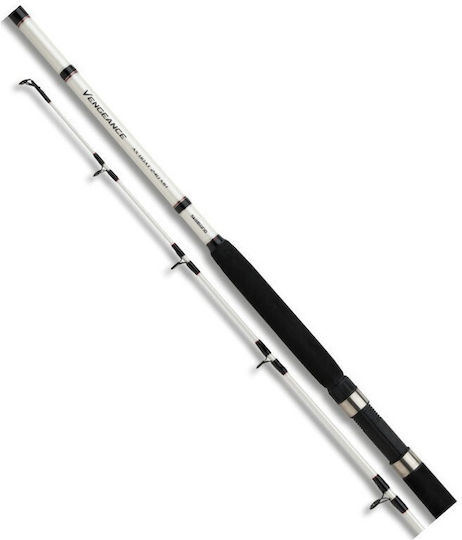 Shimano Vengeance AX BT Καλάμι Ψαρέματος για Casting 2.4m 300gr