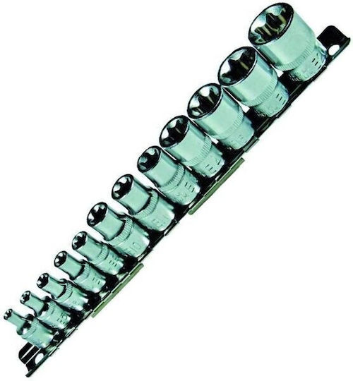 Condor Torx Steckdosen mit Rahmen Gastgeber 1/4" 3/8" Set 12 Stück