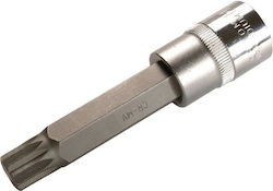 BGS Technic Καρυδάκι Πολύσφηνο με Καρέ Υποδοχής 1/2" BGS Technic Καρυδάκι Πολύσφηνο με Καρέ Υποδοχής 1/2"
