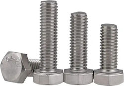 Inox Hexagon Inox Screw with Diameter M6 and Length 60mm
