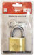 Silca Brass Padlock with Key 50mm