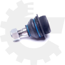 Piuliță Braț De Suspensie Față Stânga Dreapta Citroen C4 II Ds4 Ds5 Peugeot 3008 308 5008 3640.73 3640.73 Piuliță Braț De Suspensie Față Stânga Dreapta Citroen C4 II Ds4 Ds5 Peugeot 3008 308 5008 3640.73 3640.73