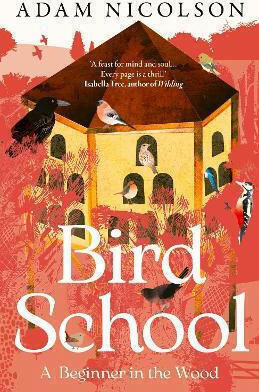 Bird School A Beginner In The Wood Adam Nicolson