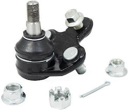 Master-Sport Frontsystem für Toyota Corolla E10 E11 E12 Corolla Verso Rav4 II Celica Allex Wish Master-Sport Frontsystem für Toyota Corolla E10 E11 E12 Corolla Verso Rav4 II Celica Allex Wish