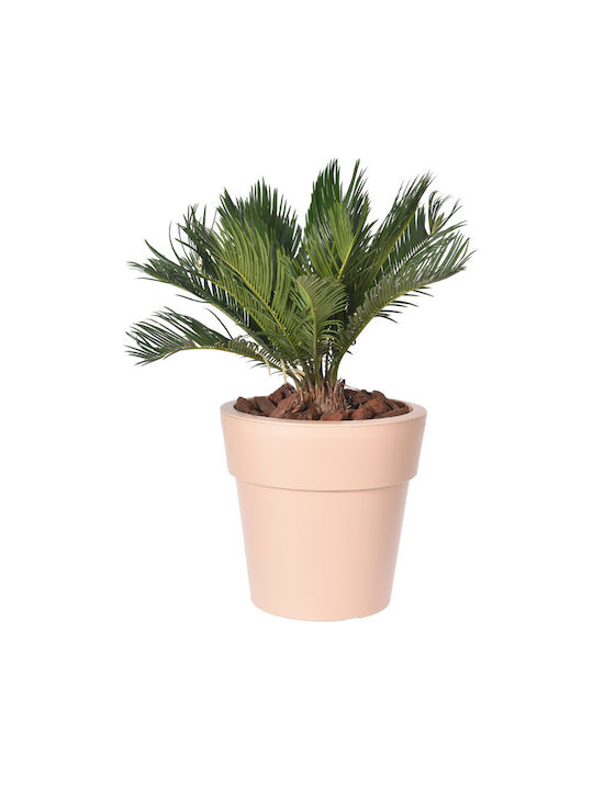 Viomes Plastic Flower Pot Beige Sand 25x25x24cm