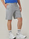 Alfio Sports Men's Gray Shorts 0856540006-Gray