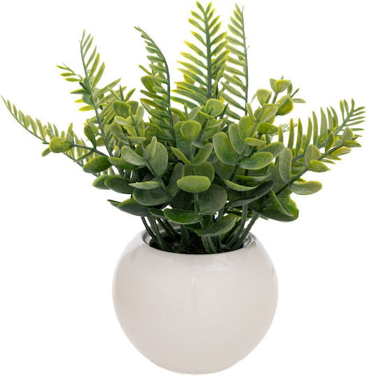 Prasineda 20cm Keramisch Weiß Kaspó F9x6cm Set 4 Stücke