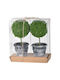 Artekko 29570 Black Boxwood Artificial Buxus Potted Plant Plastic Black S/2 Pieces