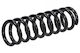 Nissan Pathfinder Suspension Spring 05 Front Asz-ns-003