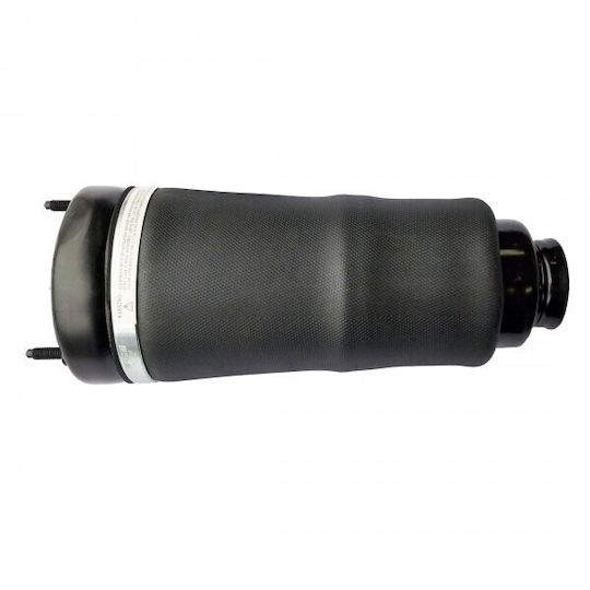 Luftfederung Kissen Vorne Links Rechts Mercedes R-Klasse W251 V251 A2513203013