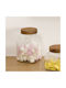 5Five F-v Arche Glass Transparent Sugar Pasta Jar with Airtight Lid 4000ml 1 Piece