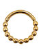 Poco Loco Clicker Earrings from Gold Plated Titanium TB-2043Y