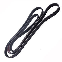 Curea Poli-V Master-Sport E39 E36 E34 E38 E65 E36 Cabrio E36 Compact Z3 Roadster Z3 Coupe 7er 11281437929 Curea Poli-V Master-Sport E39 E36 E34 E38 E65 E36 Cabrio E36 Compact Z3 Roadster Z3 Coupe 7er 11281437929