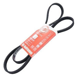 Curea Poli V-Rib Ford Escort Fiesta Focus Mondeo C-Max Galaxy Kuga S-Max Edge Puma Tourneo Connect 7252518