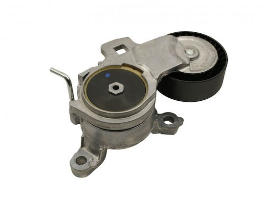 Tensioner Belt Micro Citroen Jumpy 07 2.0i 5751.g8