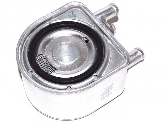 Fast Radiator Cu Ulei Motor Auto Pentru Citroen Jumper