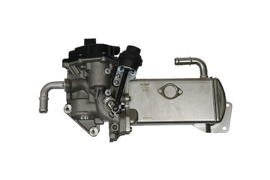 Vika Auto-Kühlschrank EGR VW Transporter 12 Camp 12 2.0 TDI 03L131512DS