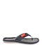 Ανδρικά Flip Flops Μπλε
