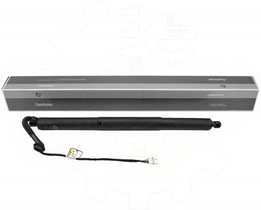 Αμορτισέρ Πίσω Πόρτας Bmw X5 Δεξιά 51247294470