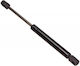 Maxgear Kofferraum-Schock Vw Passat 00 Superb 02 187100
