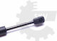 SKV Trunk Shock for BMW 5 Touring E61 51477148826