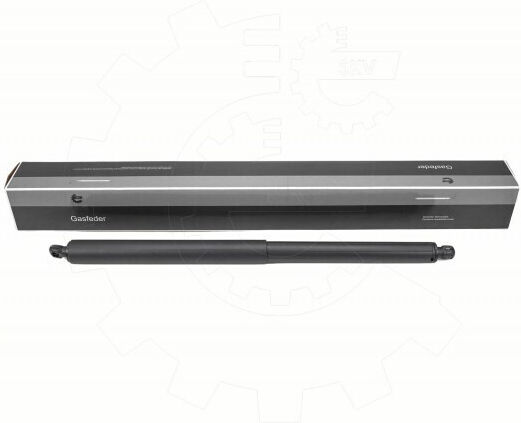 Αμορτισέρ Πίσω Πόρτας Bmw X1 Αριστερό 51247481803