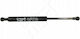 Kofferraum-Schock Audi 80 86-91 893827552