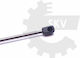Pneumatischer Zylinder Für Heckhaube Porsche 911 996 99651255102