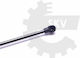 SKV Trunk Shock for Renault Clio IV