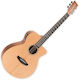 Tanglewood Acoustic Guitar