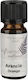 MySenso Essential Oil 10ml